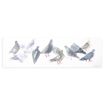 4715C Flock of Eleven Pigeons - Sally Muir