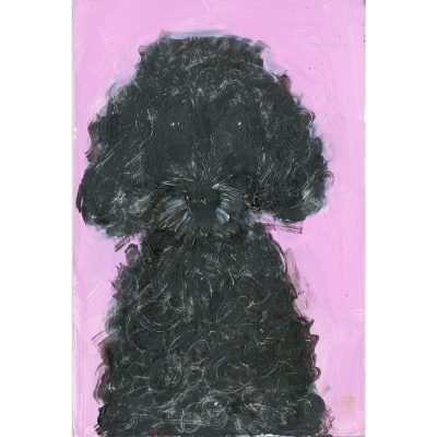 4729C Poodle on Pink - Sally Muir