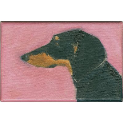 4730C Dachshund on Pink- Sally Muir
