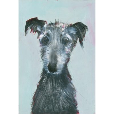 4732C Lurcher Puppy on Light Blue - Sally Muir