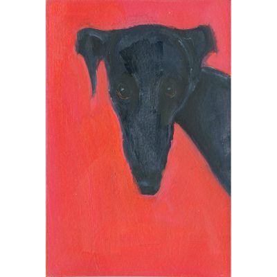 4733C Black Dog on Red - Sally Muir