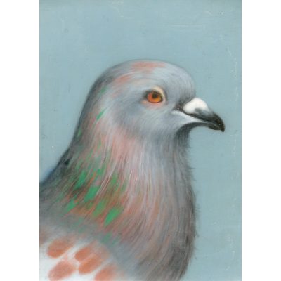 4745C Pigeon II - Louise Crabb