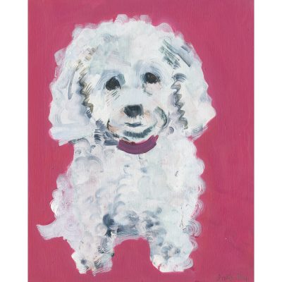 4690C White Curly Dog on Bright Pink Background - Sally Muir