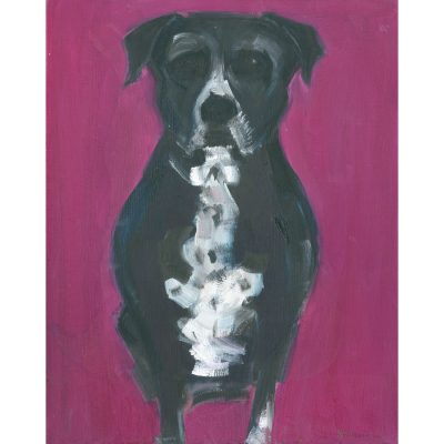 4694C Black and White Dog on Purple background - Sally Muir