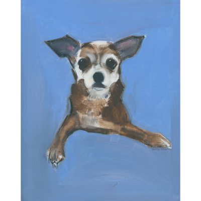 4697C Chihuahua on Blue Background - Sally Muir