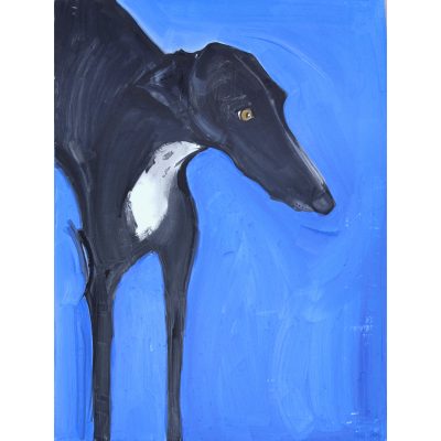 4698C Black and White Hound on Bright Blue Background - Sally Muir