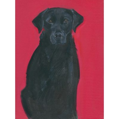 4699C Labrador on Red Background - Sally Muir