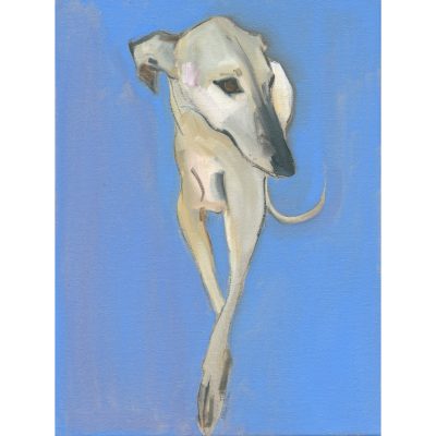 4700C Pale Hound on Light Blue Background - Sally Muir