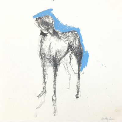 4721C Hound Sketch on Blue - Sally Muir