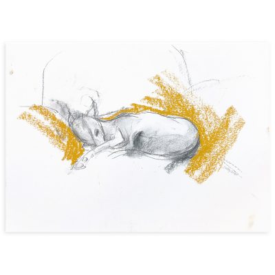 4722C Sleeping Hound on Yellow - Sally Muir