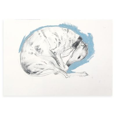 4725C Sleeping Hound on Teal - Sally Muir