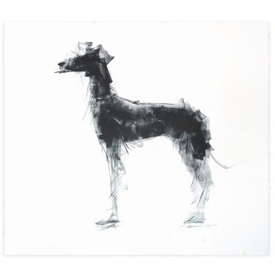 4726C Alert Hound - Sally Muir