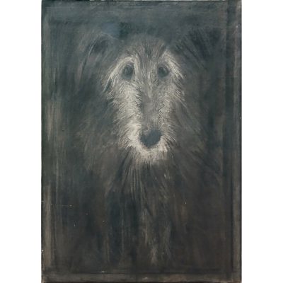 4727C Lurcher- Sally Muir