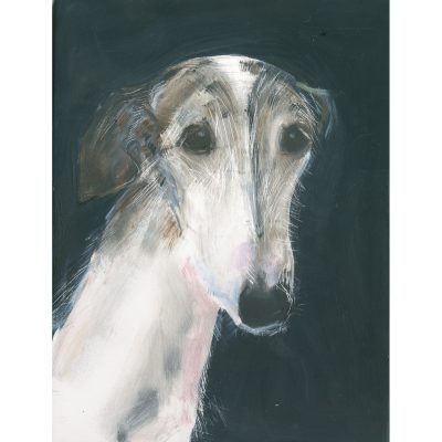 4728C Grey Dog on Dark Background - Sally Muir