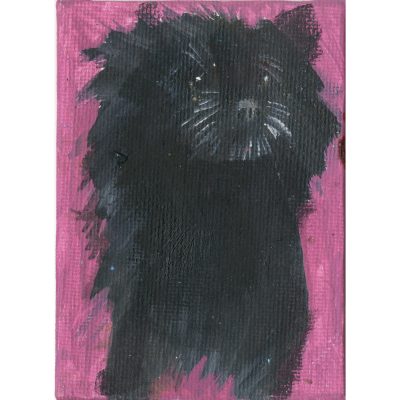 4736C Black Dog on Pink - Sally Muir