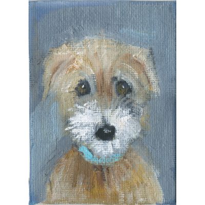 4737C Terrier on Grey - Sally Muir