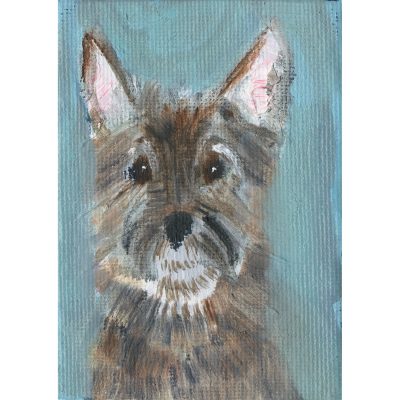 4739C Terrier on Turquoise - Sally Muir