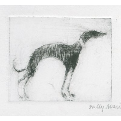 4741C Standing Hound AP - Sally Muir