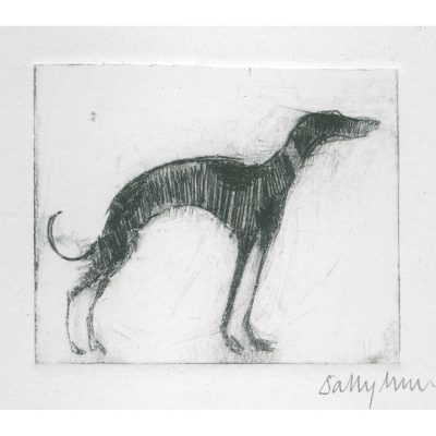 4742C Standing Hound AP - Sally Muir