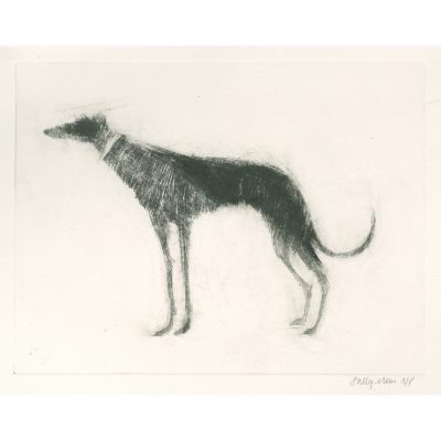4743C Lurcher AP - Sally Muir