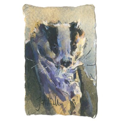 4790C Dapper Digger - Jonathan Walker