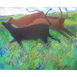 4942C Calves on the South Coast Footpath – Louise Waugh