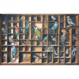 4932 Birds in a Box – Leo Davey