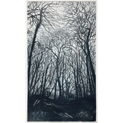 0257C Sentinels 40/30 - Ley Roberts