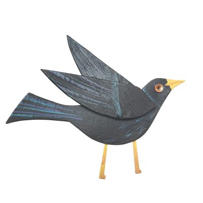 5010C Young Blackbird - Rachel Sumner