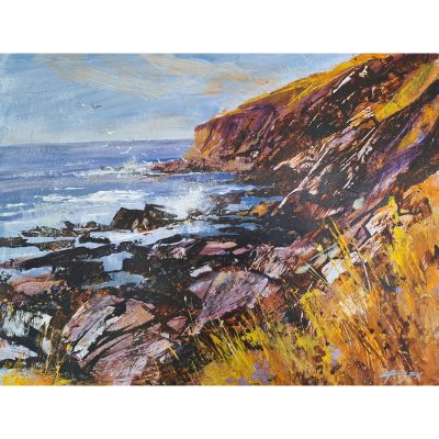 5164C Seagulls and Sun on the Cliffs - Chris Forsey