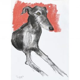 5360C Tizoli on Red – Sally Muir