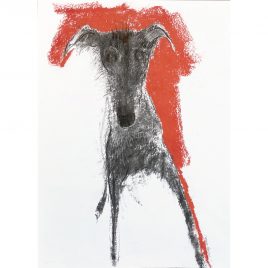 5362C Best on Red – Sally Muir