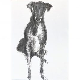 5364C Now? – Sally Muir