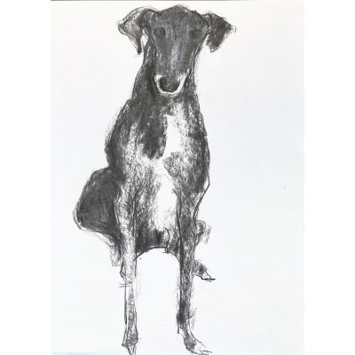 5364C Now? - Sally Muir