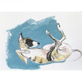 5366C Jonut – Sally Muir