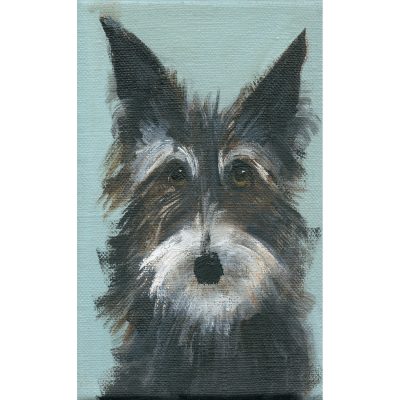 5368C Scruffy Terrier on Light Blue - Sally Muir