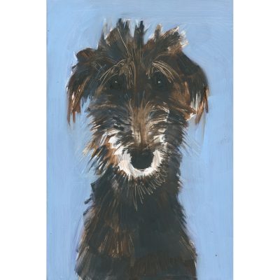 5369C Scruffy Hound on Blue - Sally Muir