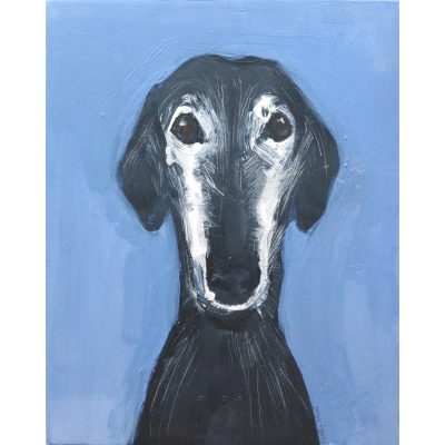 5376C Black and White Hound on Bright Blue - Sally Muir
