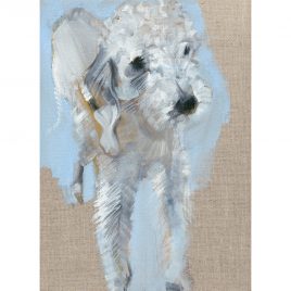 5379C Dusty  – Sally Muir