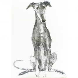 5460C Hound – Sally Muir