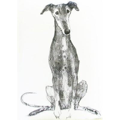 5460C Hound - Sally Muir