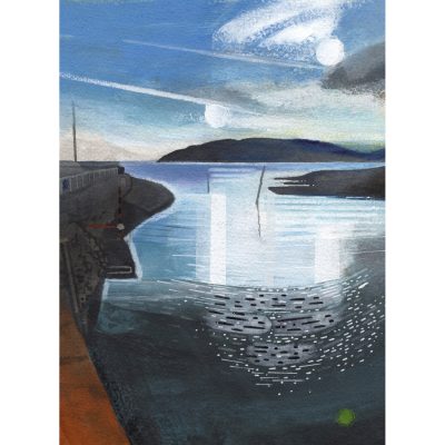 5463C Hurlstone Point from Porlock Weir - Leo Davey