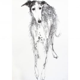 5313C Declan – Sally Muir