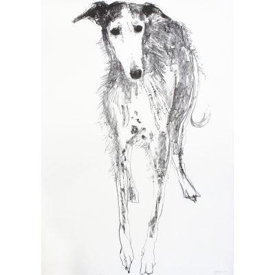 5313C Declan - Sally Muir