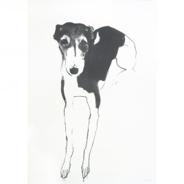 5317C Lily – Sally Muir