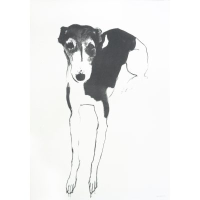 5317C Lily - Sally Muir