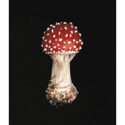 5393C Fly Agaric - Louise Crabb