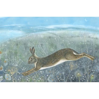 5423C Melangell - Anne Mortimer RMS SBA