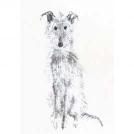 5459C Scruffy Hound – Sally Muir