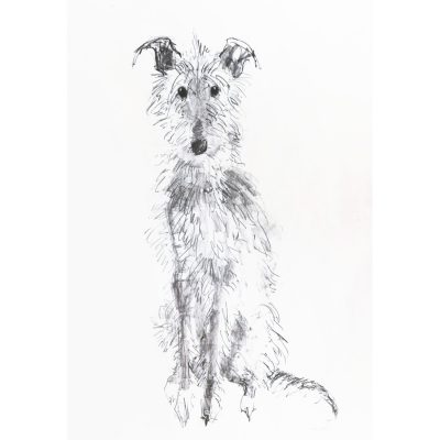 5459C Scruffy Hound - Sally Muir